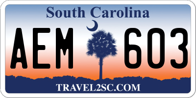 SC license plate AEM603