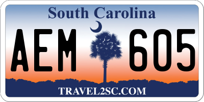 SC license plate AEM605