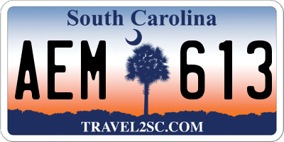SC license plate AEM613