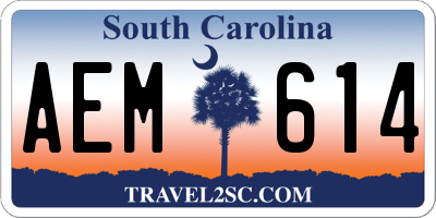 SC license plate AEM614