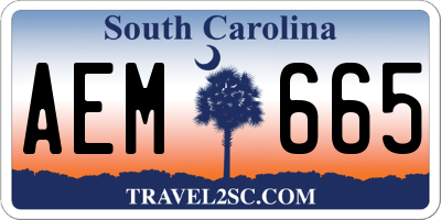 SC license plate AEM665