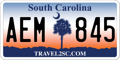 SC license plate AEM845