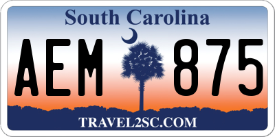 SC license plate AEM875