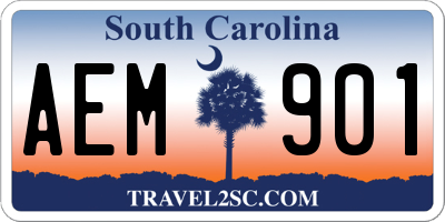 SC license plate AEM901