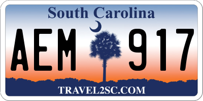 SC license plate AEM917