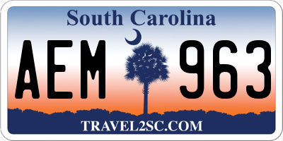 SC license plate AEM963