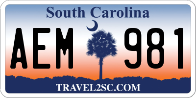 SC license plate AEM981