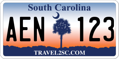SC license plate AEN123