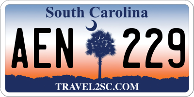 SC license plate AEN229