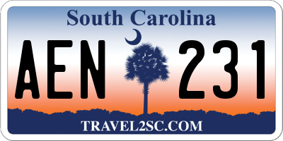 SC license plate AEN231
