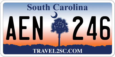 SC license plate AEN246