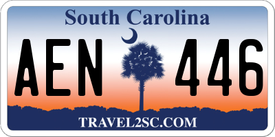SC license plate AEN446