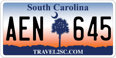 SC license plate AEN645