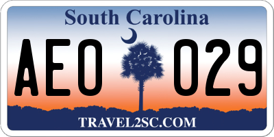 SC license plate AEO029