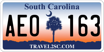 SC license plate AEO163