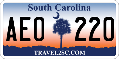 SC license plate AEO220