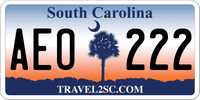 SC license plate AEO222
