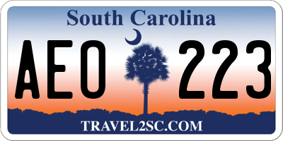 SC license plate AEO223