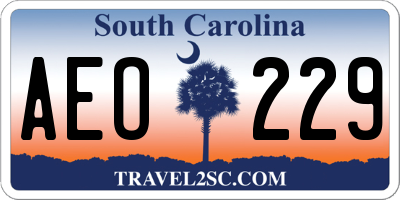 SC license plate AEO229