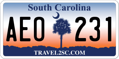 SC license plate AEO231