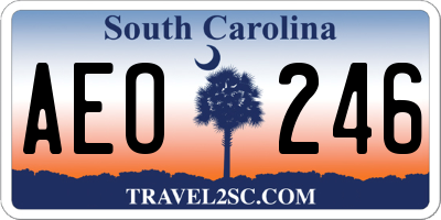 SC license plate AEO246
