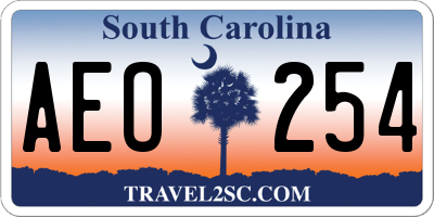 SC license plate AEO254