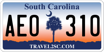 SC license plate AEO310