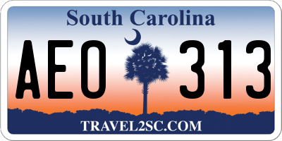 SC license plate AEO313