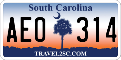 SC license plate AEO314