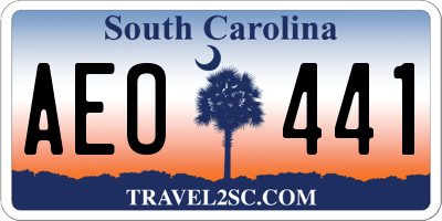 SC license plate AEO441