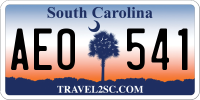SC license plate AEO541