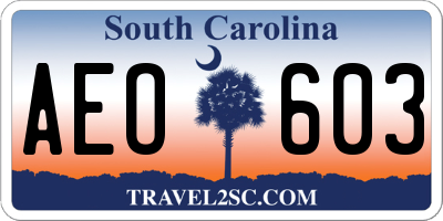 SC license plate AEO603