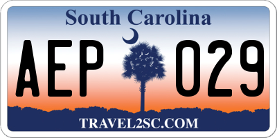 SC license plate AEP029