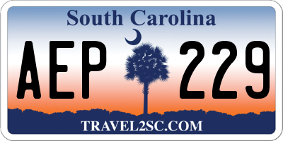 SC license plate AEP229