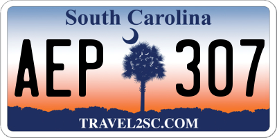 SC license plate AEP307