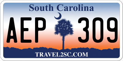SC license plate AEP309