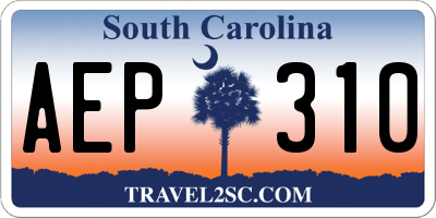 SC license plate AEP310