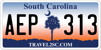 SC license plate AEP313
