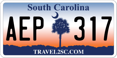 SC license plate AEP317