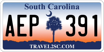 SC license plate AEP391