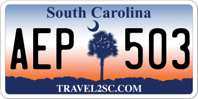 SC license plate AEP503