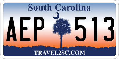 SC license plate AEP513
