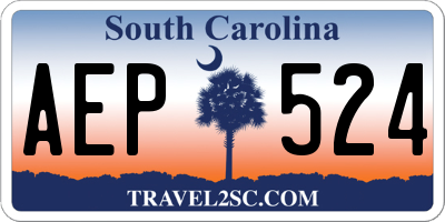 SC license plate AEP524