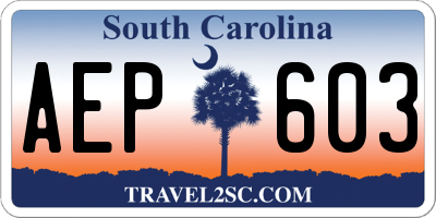 SC license plate AEP603