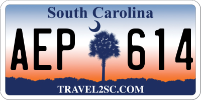 SC license plate AEP614