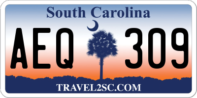 SC license plate AEQ309