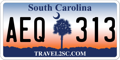 SC license plate AEQ313