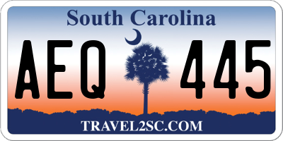 SC license plate AEQ445