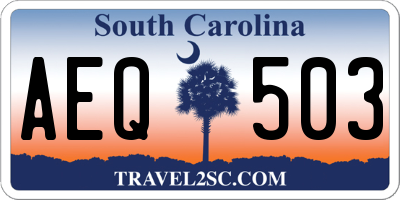 SC license plate AEQ503