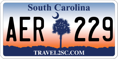 SC license plate AER229